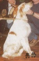 Setter Anglais MORGAN DES BOIS GEMMES Setter Anglais MORGAN DES BOIS GEMMES
